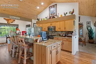 3133 Homestake Pl, Lake George, CO 80827 - Photo 6