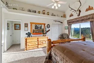 3133 Homestake Pl, Lake George, CO 80827 - Photo 14