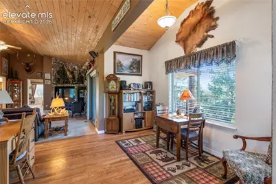 3133 Homestake Place, Lake George, CO 80827 - Photo 10