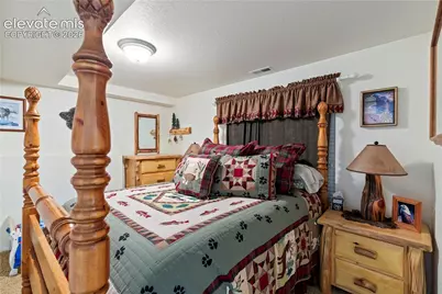 3133 Homestake Place, Lake George, CO 80827 - Photo 20