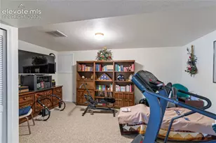 3133 Homestake Pl, Lake George, CO 80827 - Photo 22