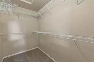 667 Hailey Glenn View, Colorado Springs, CO 80916 - Photo 30