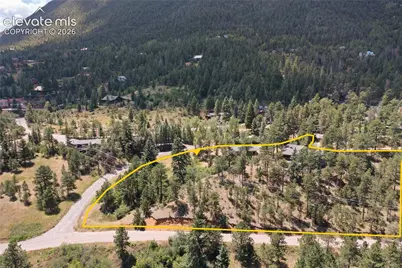 9340 Columbine Trail, Cascade, CO 80809 - Photo 4