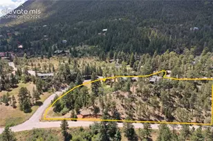 9340 Columbine Trail, Cascade, CO 80809 - Photo 4