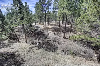 18320 Sloan Lane, Monument, CO 80132 - Photo 40
