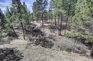 18320 Sloan Ln, Monument, CO 80132 - Photo 40