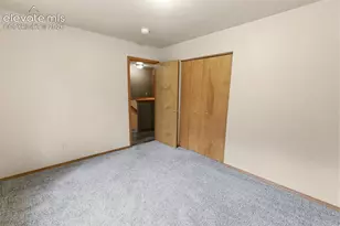 221 S Fairview St, Woodland Park, CO 80863 - Photo 34