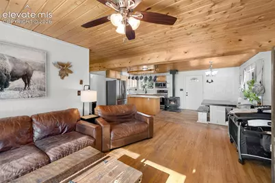 1276 Pinewood Road, Florissant, CO 80816 - Photo 6