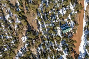 1276 Pinewood Rd, Florissant, CO 80816 - Photo 30