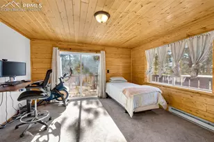 1276 Pinewood Rd, Florissant, CO 80816 - Photo 10