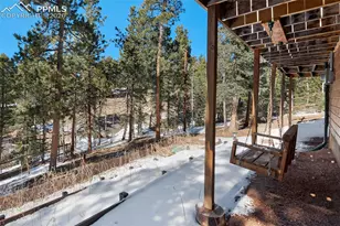 1276 Pinewood Rd, Florissant, CO 80816 - Photo 24