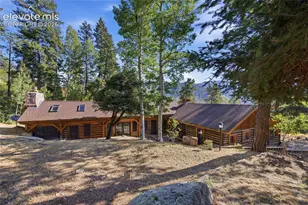 9795 Mountain Rd, Cascade, CO 80809 - Photo 48