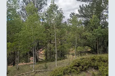 2455 Yorktown Road, Cripple Creek, CO 80813 - Photo 12