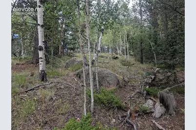 2455 Yorktown Road, Cripple Creek, CO 80813 - Photo 10
