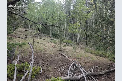 2455 Yorktown Road, Cripple Creek, CO 80813 - Photo 18
