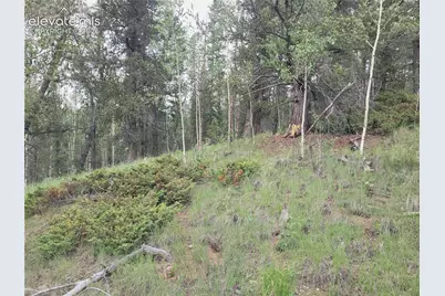 2455 Yorktown Road, Cripple Creek, CO 80813 - Photo 8