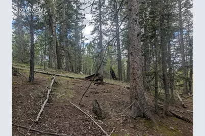2455 Yorktown Road, Cripple Creek, CO 80813 - Photo 30