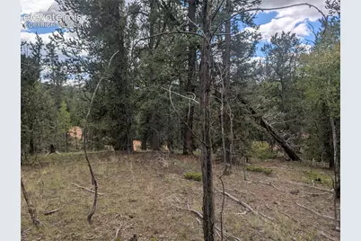 2455 Yorktown Road, Cripple Creek, CO 80813 - Photo 1