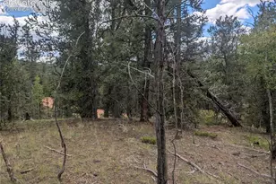 2455 Yorktown Rd, Cripple Creek, CO 80813 - Photo 1