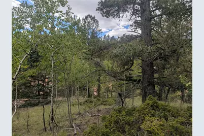 2455 Yorktown Road, Cripple Creek, CO 80813 - Photo 16