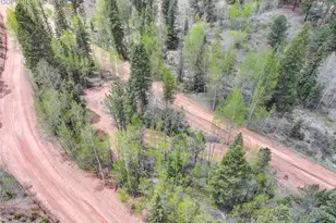 416 Willow Rd, Divide, CO 80814 - Photo 1