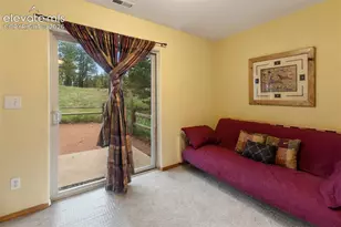996 Spring Valley Dr, Divide, CO 80814 - Photo 30