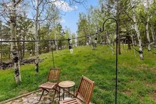 996 Spring Valley Dr, Divide, CO 80814 - Photo 36