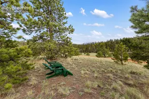 996 Spring Valley Dr, Divide, CO 80814 - Photo 6