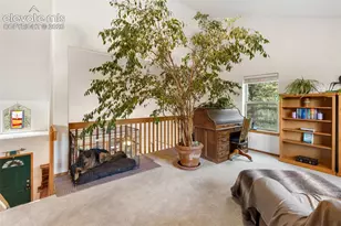 996 Spring Valley Dr, Divide, CO 80814 - Photo 24