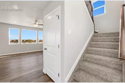 7201 Alpine Daisy Drive, Colorado Springs, CO 80925 - Photo 6