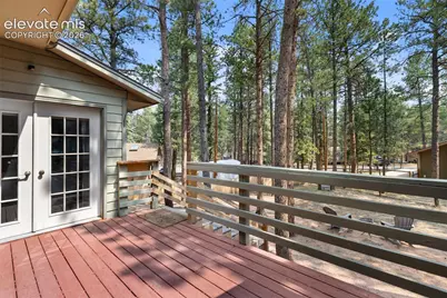 723 Pine Street, Woodland Park, CO 80863 - Photo 42