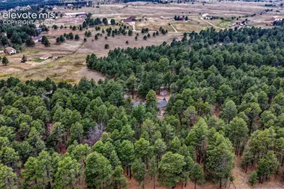 14225 Ponderosa Road, Colorado Springs, CO 80908 - Photo 50