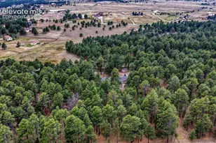 14225 Ponderosa Rd, Colorado Springs, CO 80908 - Photo 50