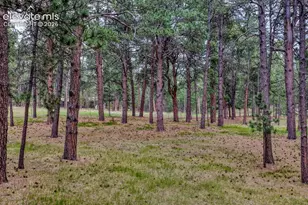 14225 Ponderosa Rd, Colorado Springs, CO 80908 - Photo 44