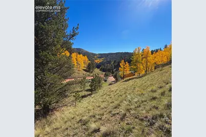 200 Beaver Pond Road, Divide, CO 80814 - Photo 14