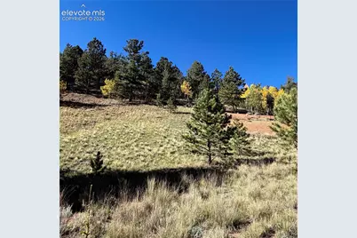 200 Beaver Pond Road, Divide, CO 80814 - Photo 8