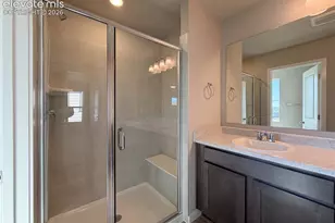 8539 Blue Feather Loop, Colorado Springs, CO 80908 - Photo 18
