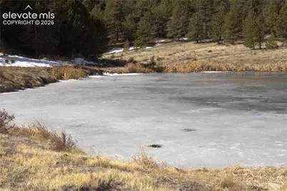 2450 Antelope Lane, Guffey, CO 80820 - Photo 20