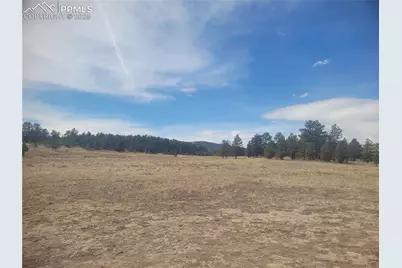 2450 Antelope Lane, Guffey, CO 80820 - Photo 1
