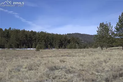 2450 Antelope Lane, Guffey, CO 80820 - Photo 6