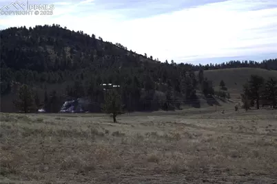 2450 Antelope Lane, Guffey, CO 80820 - Photo 4