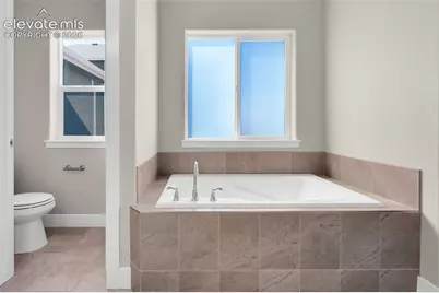 3082 Namib Drive, Colorado Springs, CO 80939 - Photo 24