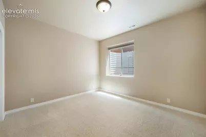 3605 Cherry Plum Drive, Colorado Springs, CO 80920 - Photo 46