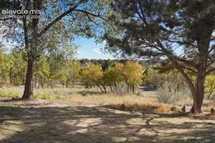 1974 Erin Loop, Colorado Springs, CO 80918 - Photo 24