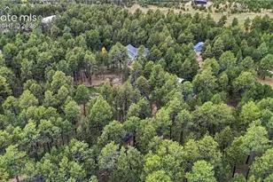 11850 Greentree Rd, Colorado Springs, CO 80908 - Photo 38