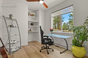 934 Pinewood Rd, Florissant, CO 80816 - Photo 30