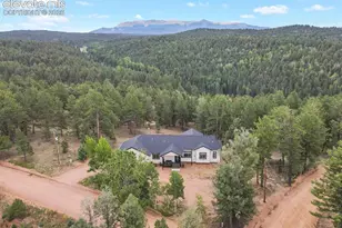 934 Pinewood Rd, Florissant, CO 80816 - Photo 1