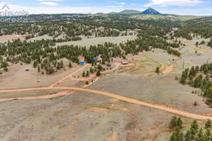 567 Co Rd 31, Florissant, CO 80816 - Photo 48