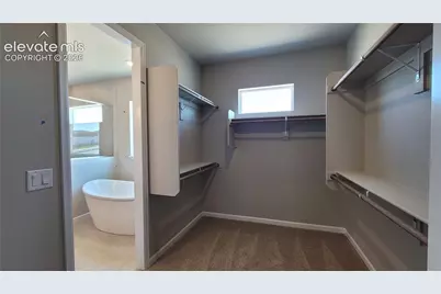 6628 Miro Lane, Colorado Springs, CO 80924 - Photo 20