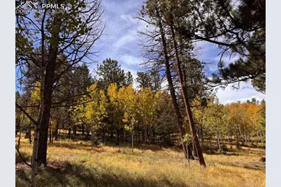Lot 20 Echo Lake Drive, Lake George, CO 80827 - Photo 10